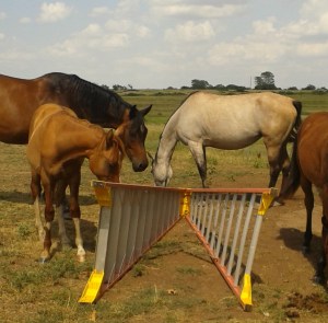 Watching the world leads to questions.